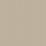 Brewster Home Fashions Owen Light Brown Ikat Stripes Wallpaper