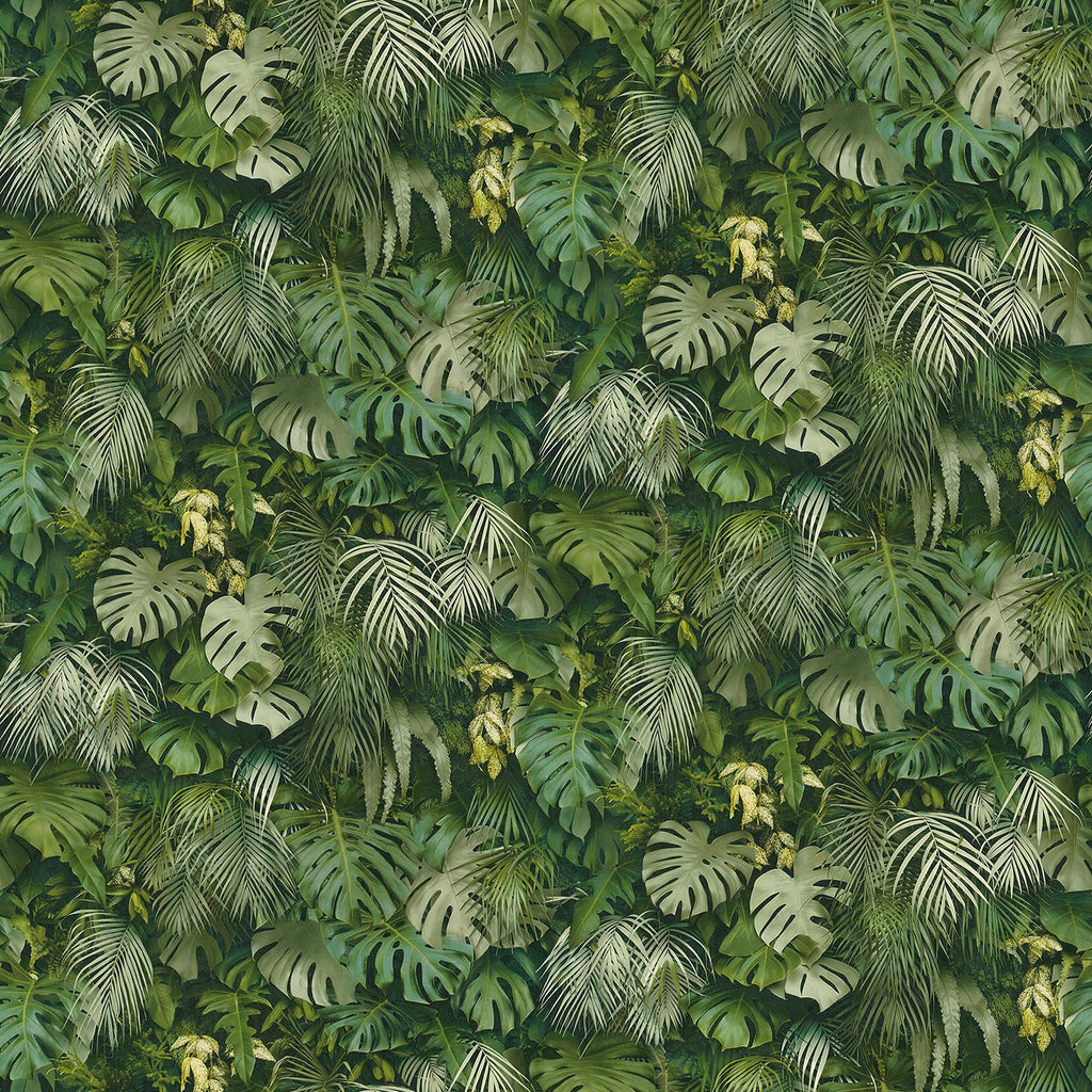 Brewster Home Fashions Luana Green Tropical Forest Wallpaper
