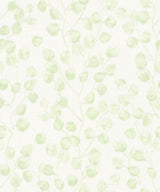 Brewster Home Fashions Mali Green Trail Wallpaper