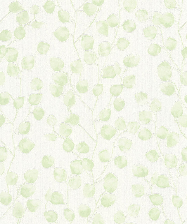 Brewster Home Fashions Mali Green Trail Wallpaper