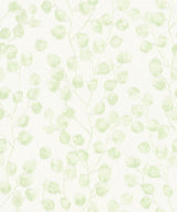 Brewster Home Fashions Mali Trail Green Wallpaper