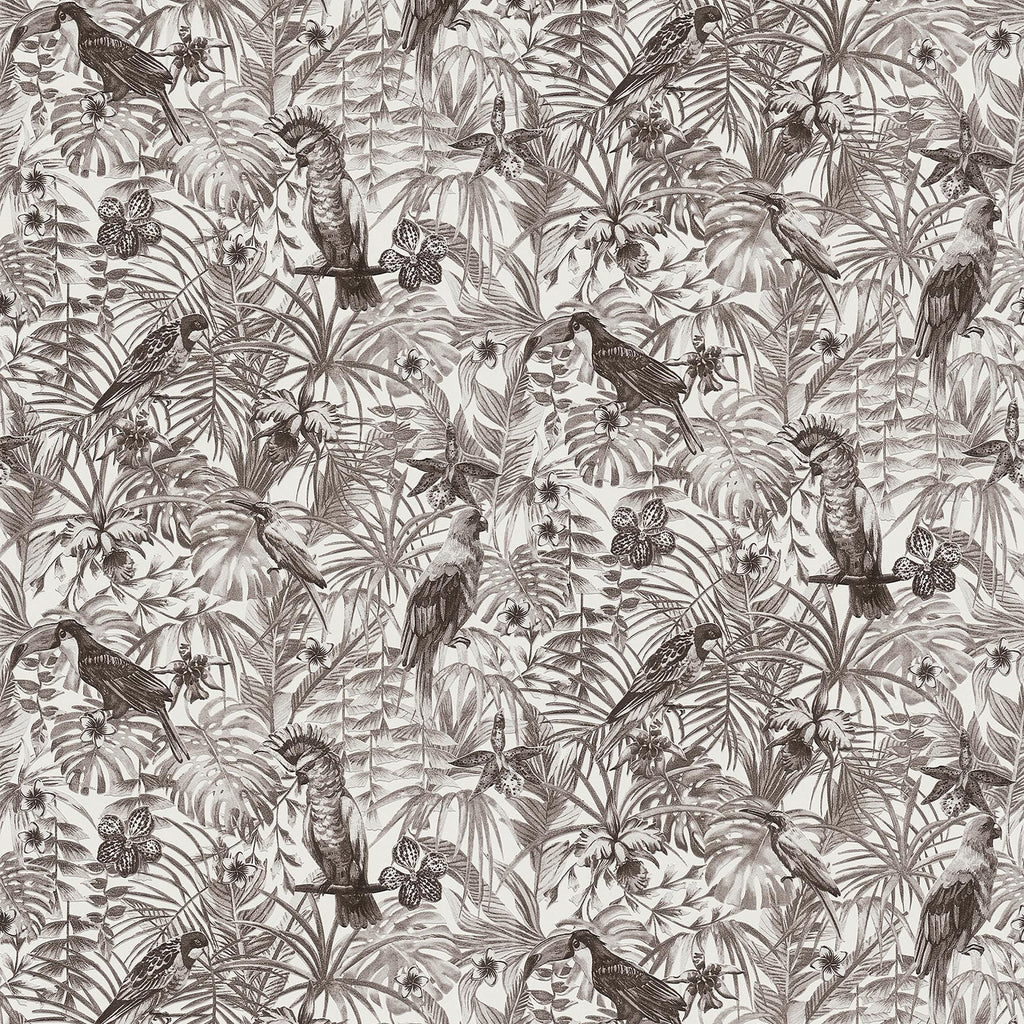 Brewster Home Fashions Susila Grey Tropical Wallpaper