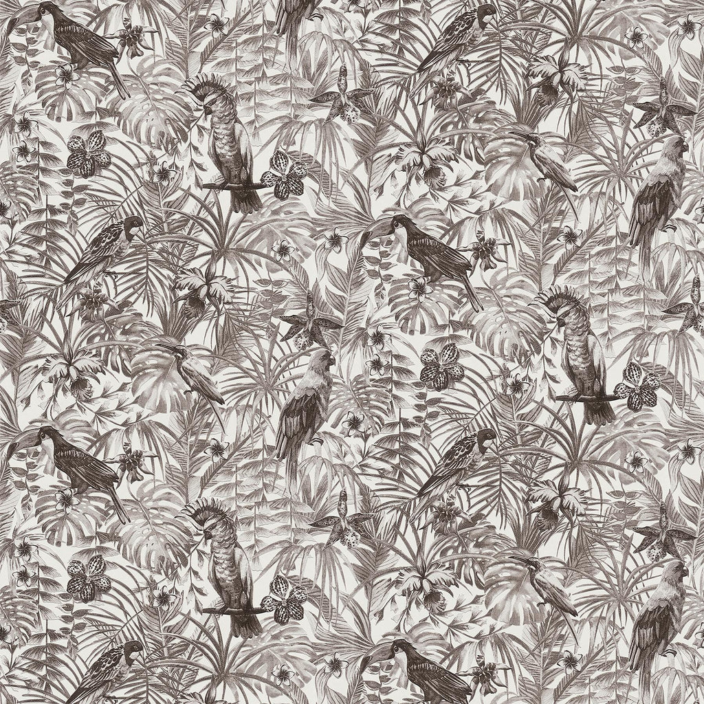 Brewster Home Fashions Susila Tropical Grey Wallpaper