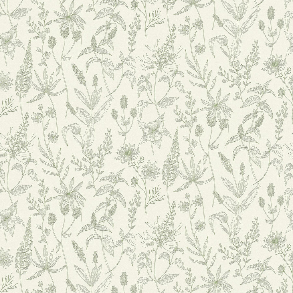 Brewster Home Fashions Nami Olive Floral Wallpaper