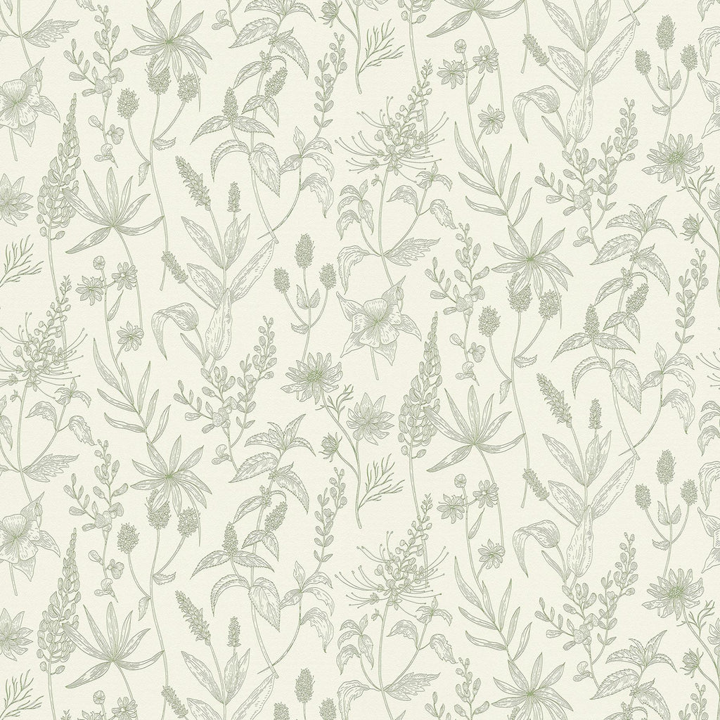 Brewster Home Fashions Nami Floral Olive Wallpaper