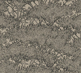 Brewster Home Fashions Hornbeam Tree Brown Wallpaper