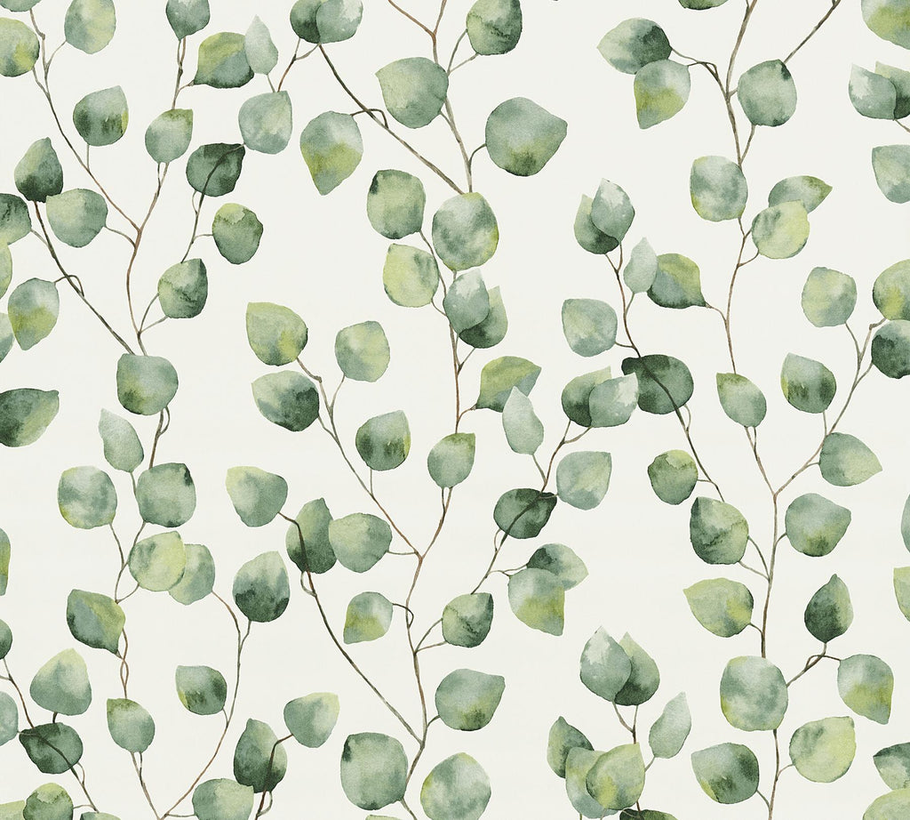 Brewster Home Fashions Hedera Green Painterly Vine Wallpaper