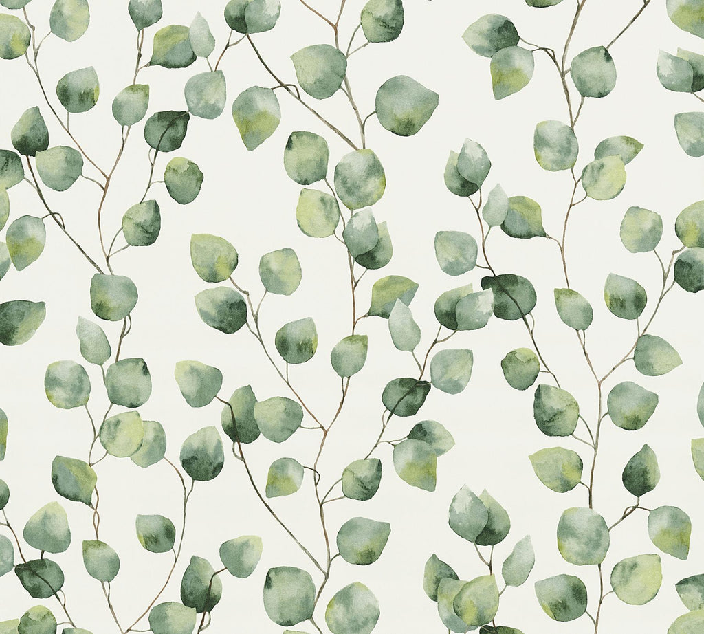 Brewster Home Fashions Hedera Painterly Vine Green Wallpaper