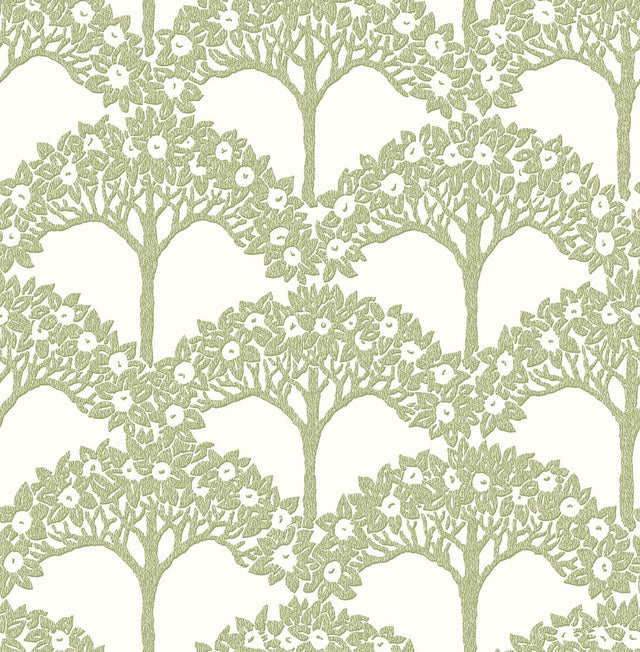 A-Street Prints Dawson Green Magnolia Tree Wallpaper