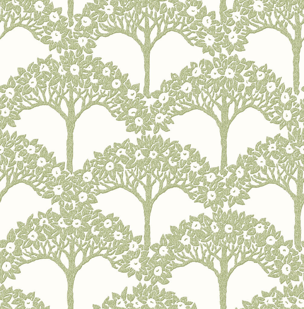 A-Street Prints Dawson Magnolia Tree Green Wallpaper