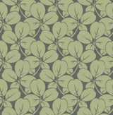 A-Street Prints Robert Green Clover Wallpaper