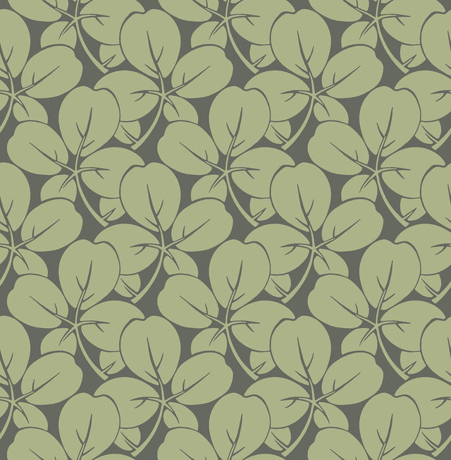 A-Street Prints Robert Green Clover Wallpaper