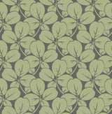 A-Street Prints Robert Clover Green Wallpaper