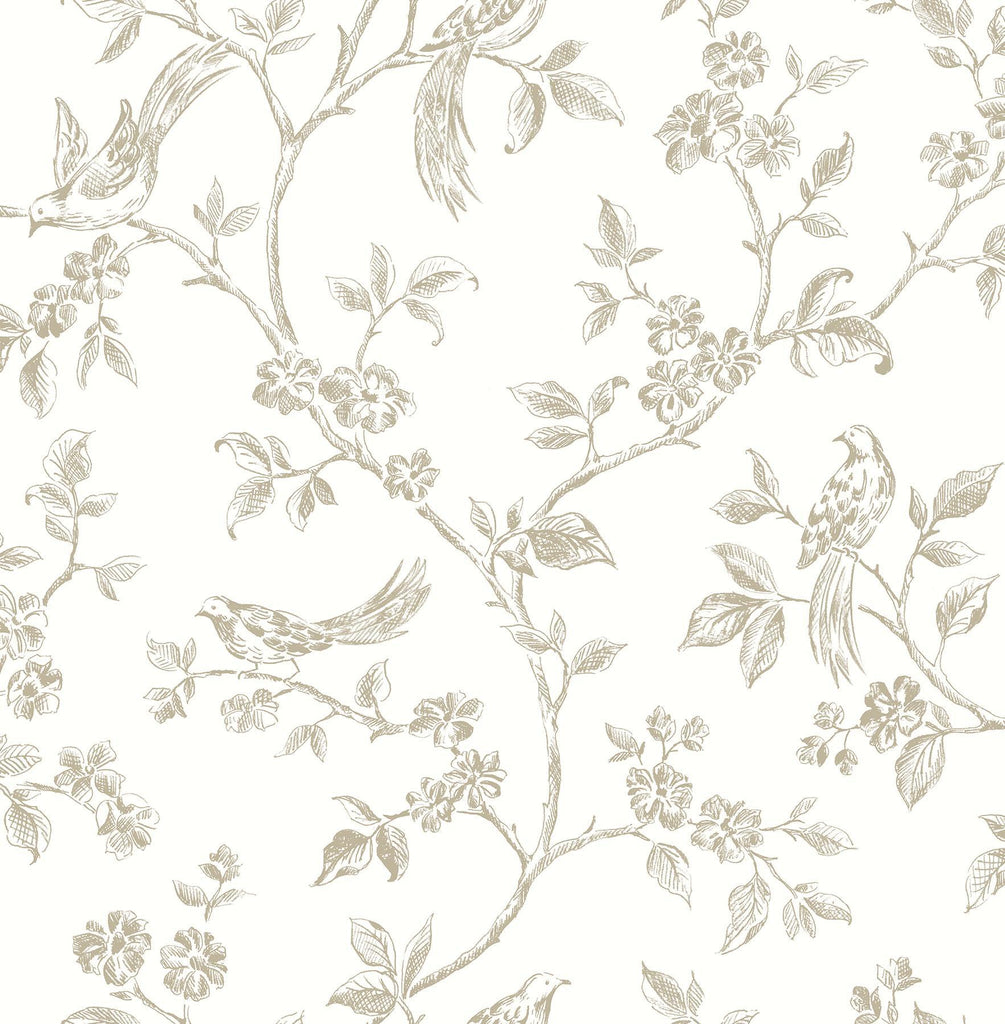 Brewster Home Fashions Ray Taupe Bird Trail Wallpaper