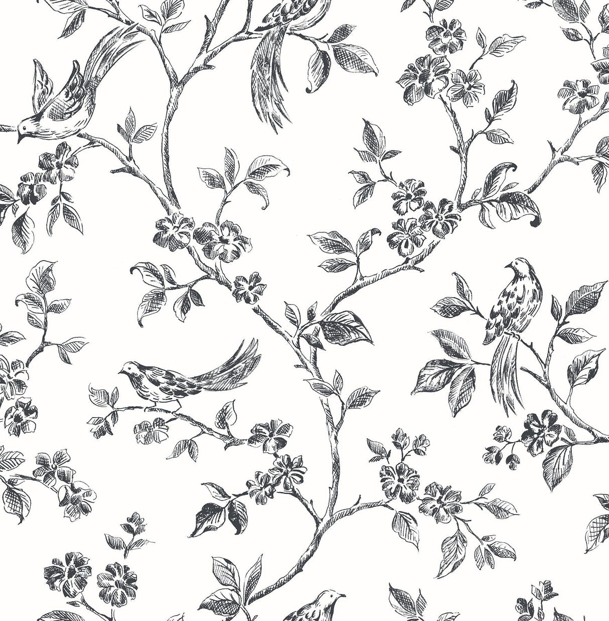 Brewster Home Fashions Ray Black Bird Trail Wallpaper