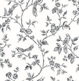 Brewster Home Fashions Ray Black Bird Trail Wallpaper