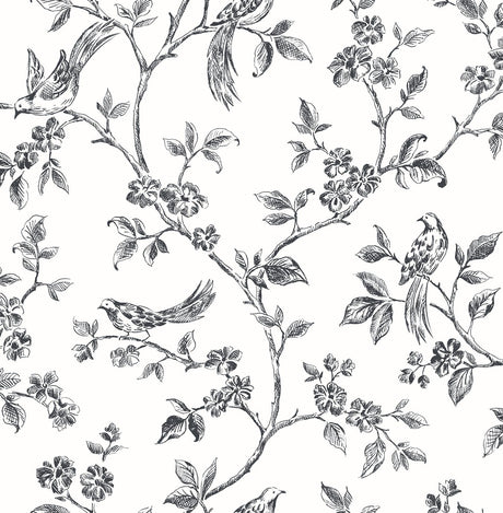 Brewster Home Fashions Ray Black Bird Trail Wallpaper