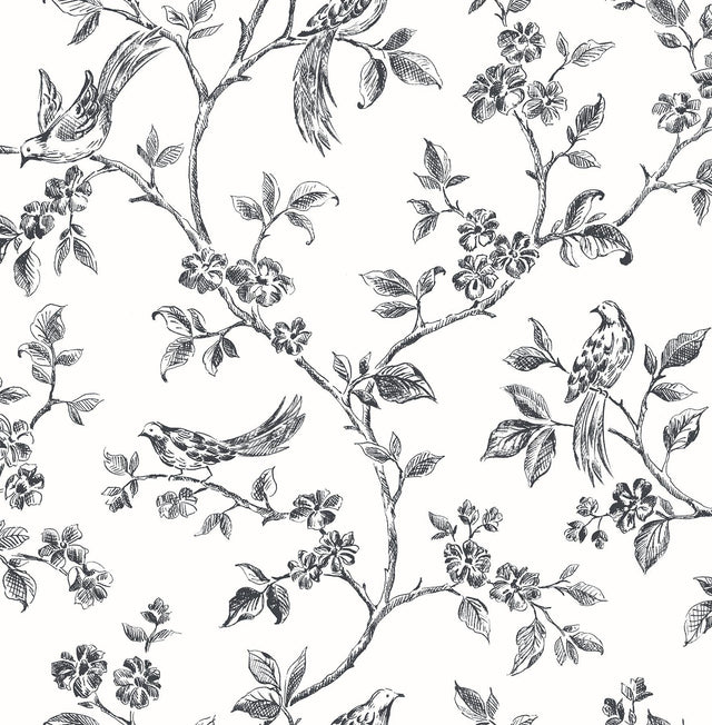 Brewster Home Fashions Ray Black Bird Trail Wallpaper