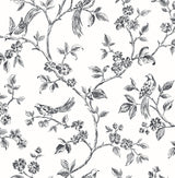 Brewster Home Fashions Ray Bird Trail Black Wallpaper