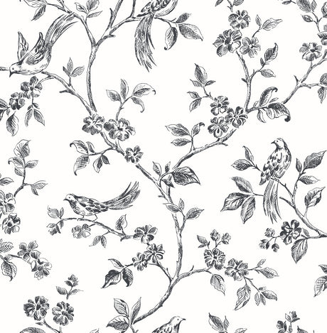 Brewster Home Fashions Ray Bird Trail Black Wallpaper