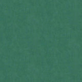 Brewster Home Fashions Riomar Green Distressed Texture Wallpaper