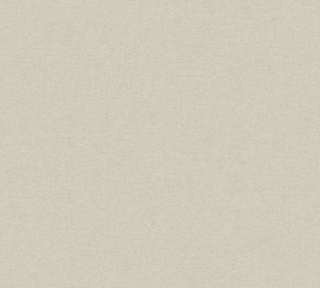 Brewster Home Fashions Estefan Neutral Distressed Texture Wallpaper
