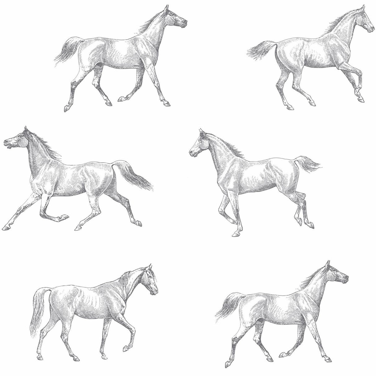 Brewster Home Fashions Burnett Off-White Horses Wallpaper