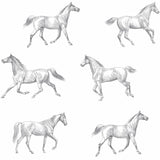 Brewster Home Fashions Burnett Off-White Horses Wallpaper