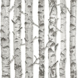 Brewster Home Fashions Merman Birch Tree Light Grey Wallpaper
