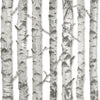 Brewster Home Fashions Merman Light Grey Birch Tree Wallpaper