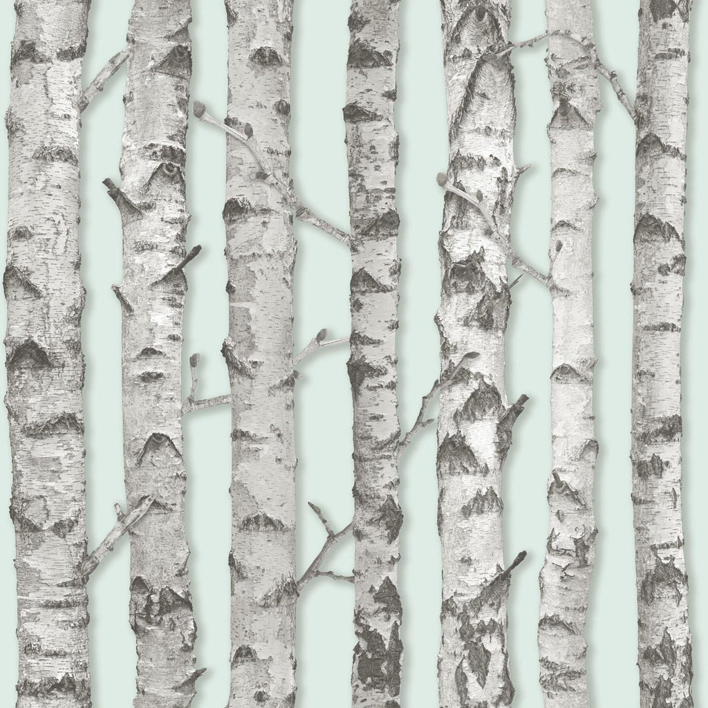 Brewster Home Fashions Merman Birch Tree Mint Wallpaper