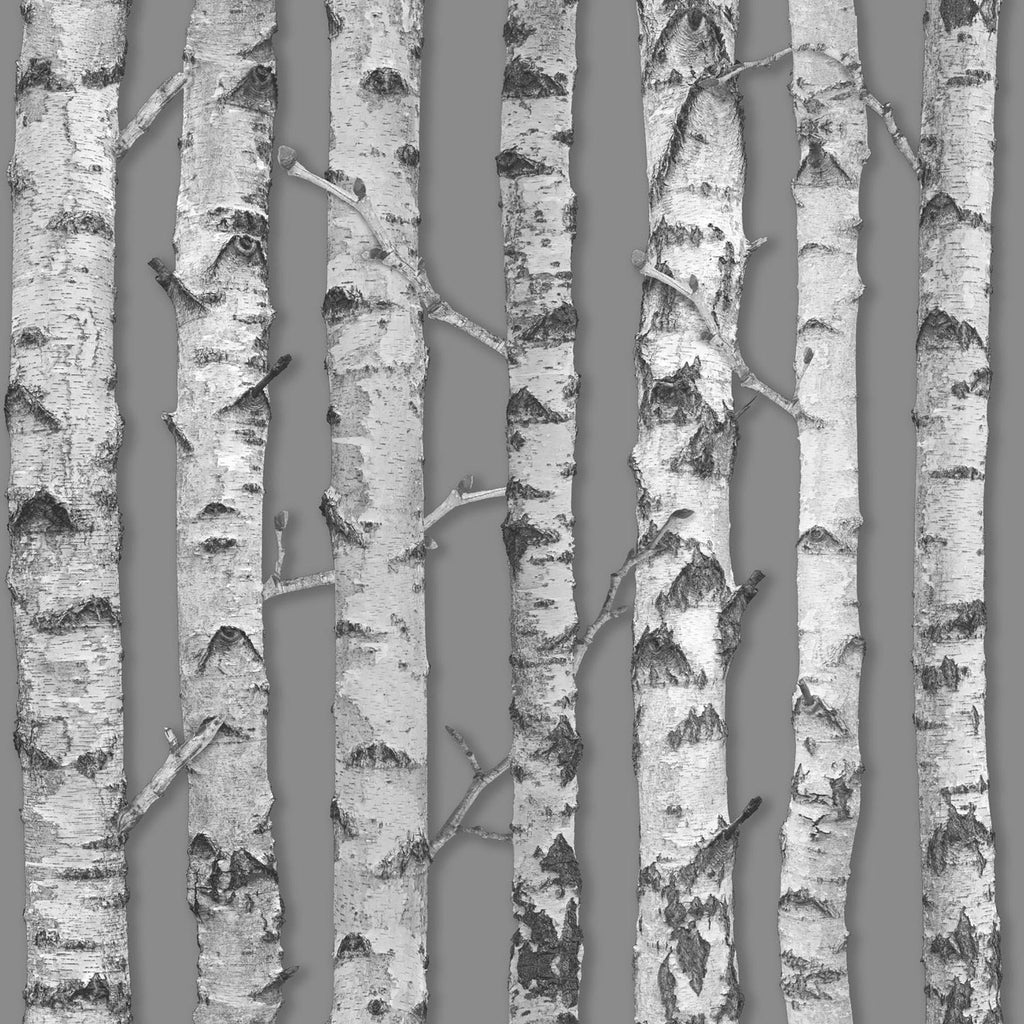 Brewster Home Fashions Merman Birch Tree Grey Wallpaper