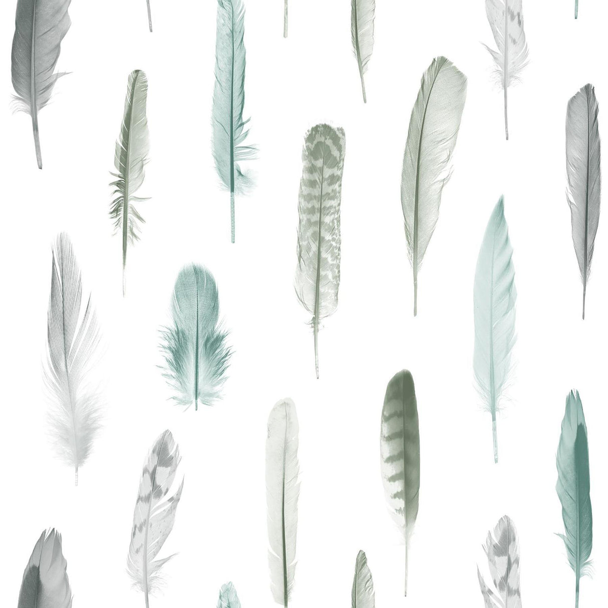 Brewster Home Fashions Nala Multicolor Feathers Wallpaper