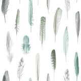 Brewster Home Fashions Nala Feathers Multicolor Wallpaper