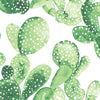 Brewster Home Fashions Botanical Green Wallpaper