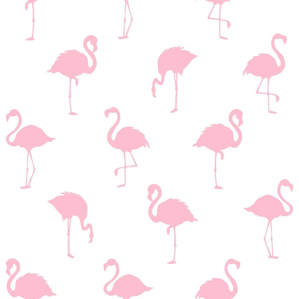 Brewster Home Fashions Lovett Pink Flamingo Wallpaper