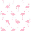 Brewster Home Fashions Birds Pink Wallpaper