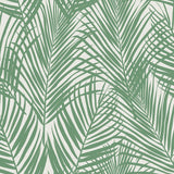 Brewster Home Fashions Fifi Palm Frond Green Wallpaper