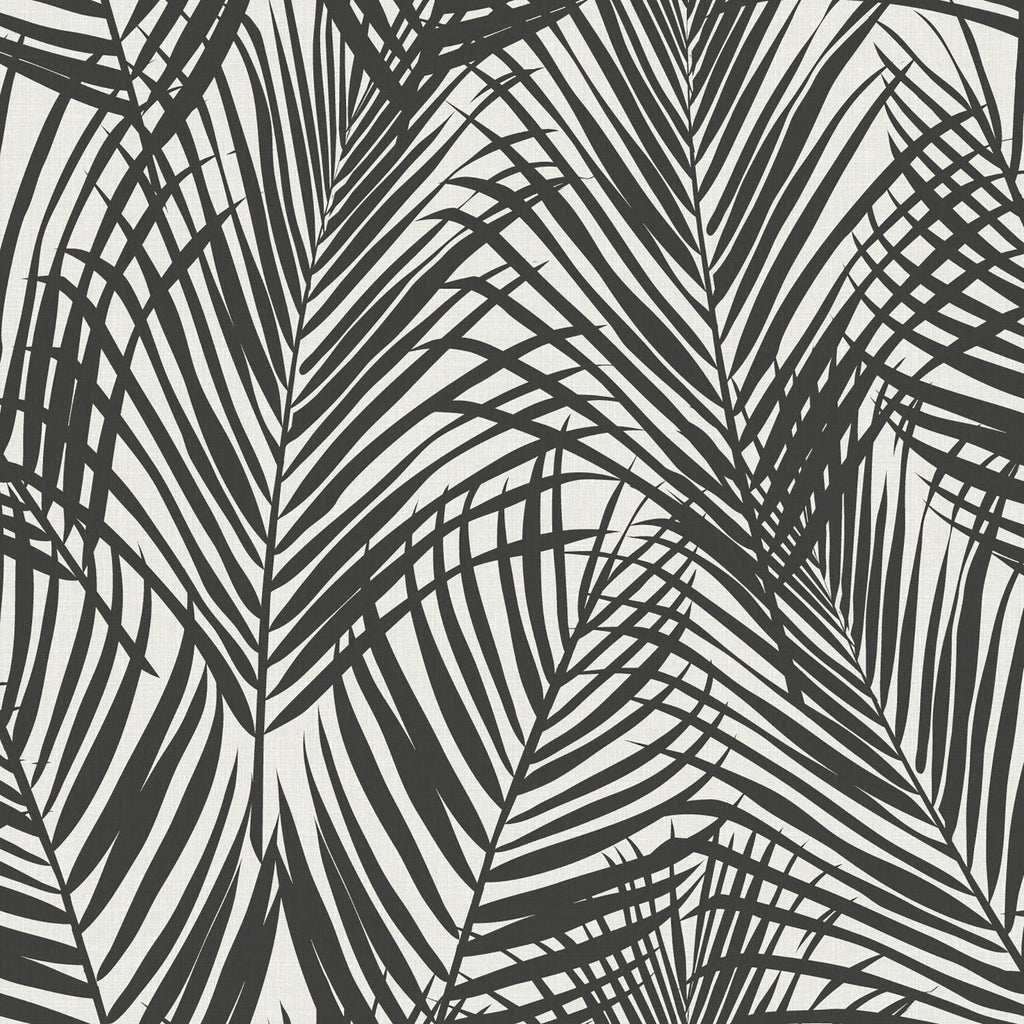 Brewster Home Fashions Fifi Black Palm Frond Wallpaper