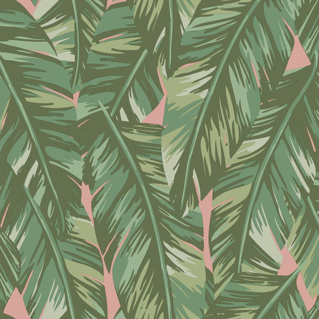 Brewster Home Fashions Dumott Tropical Leaves Olive Wallpaper