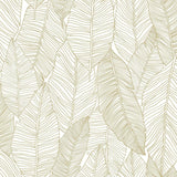 Brewster Home Fashions Canales Gold Inked Leaves White Wallpaper