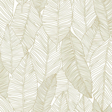 Brewster Home Fashions Canales Gold Inked Leaves White Wallpaper