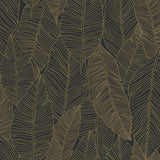 Brewster Home Fashions Canales Black Gold Inked Leaves Wallpaper