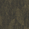 Brewster Home Fashions Botanical Black Wallpaper