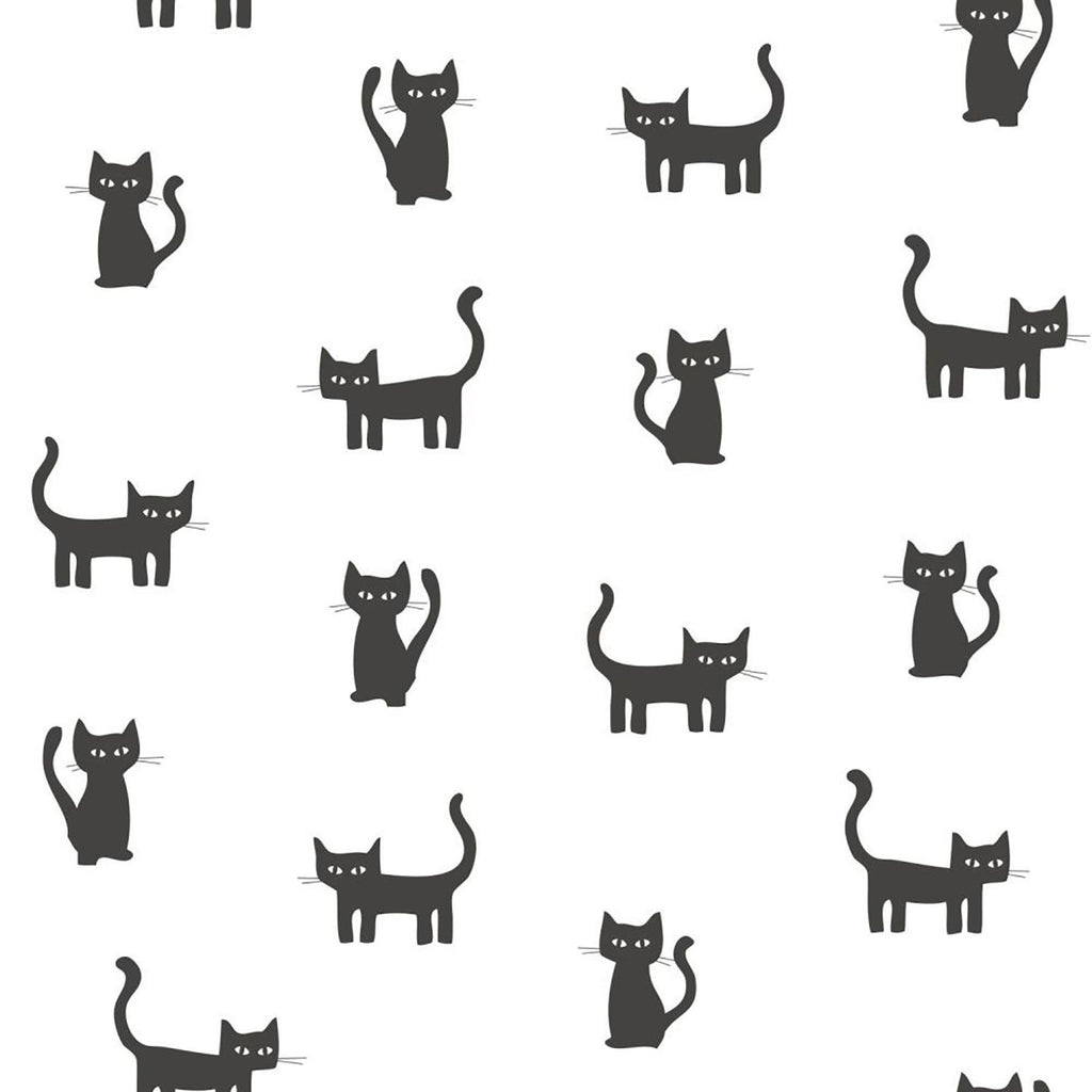Brewster Home Fashions Salem Black Kittens Wallpaper