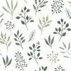 Brewster Home Fashions Botanical White Wallpaper