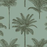Brewster Home Fashions Taj Palm Trees Sage Wallpaper
