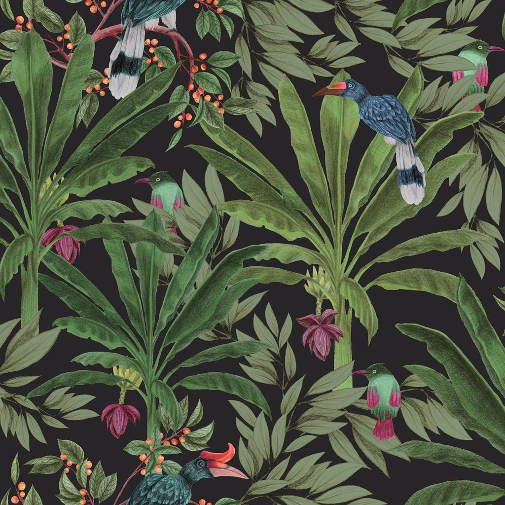 Brewster Home Fashions Carola Black Jungle Tropics Wallpaper