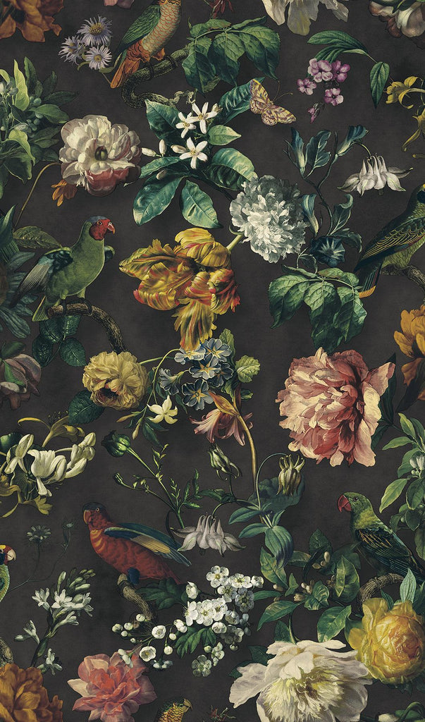 Brewster Home Fashions Claude Black Floral Wallpaper