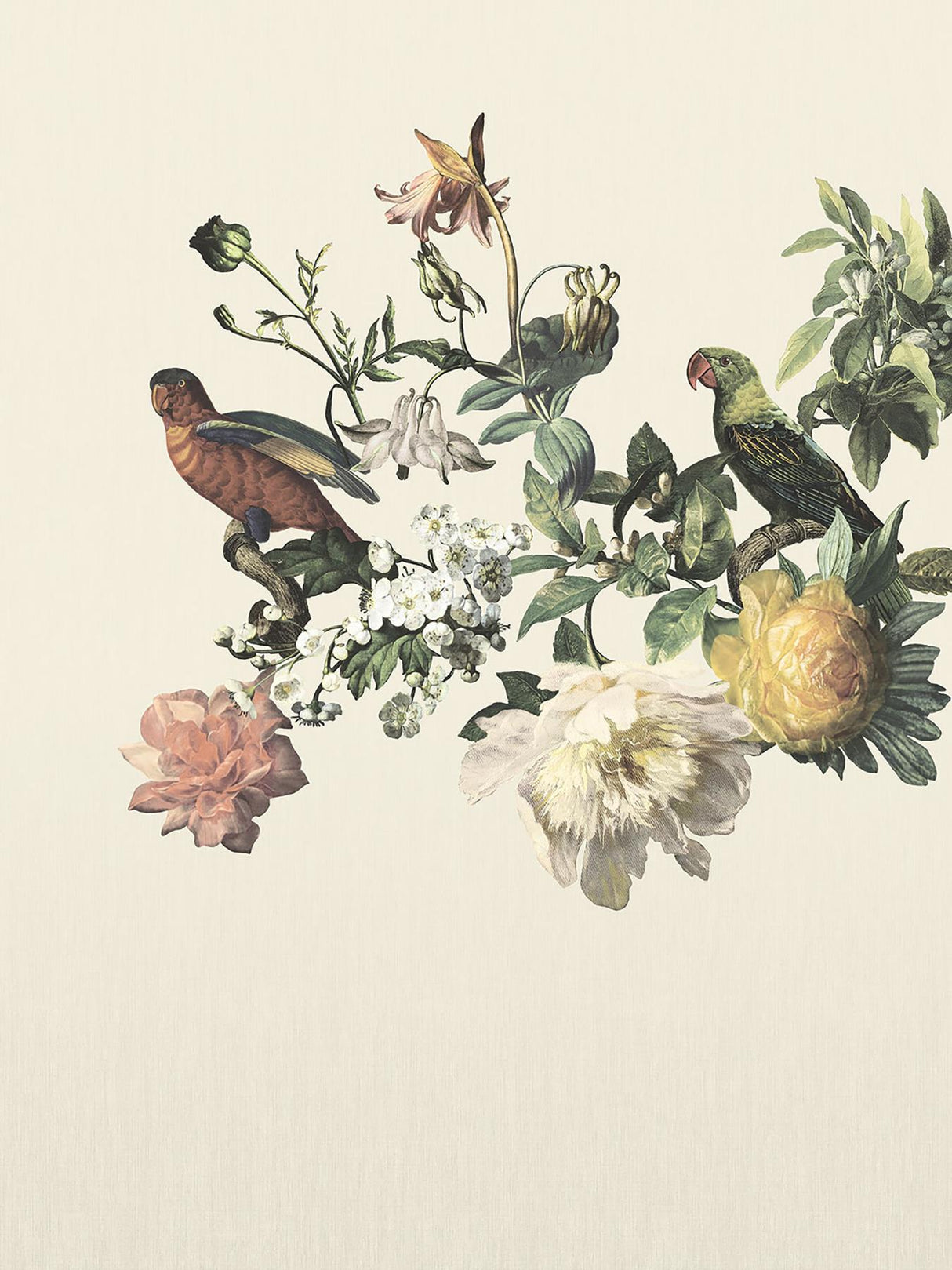 Brewster Home Fashions Big Birds Wall Mural Cream Wallpaper